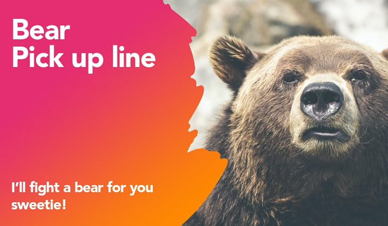 bear pickup line