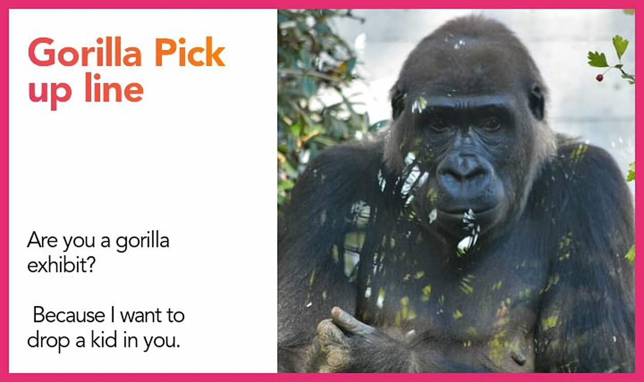 gorilla pickup line
