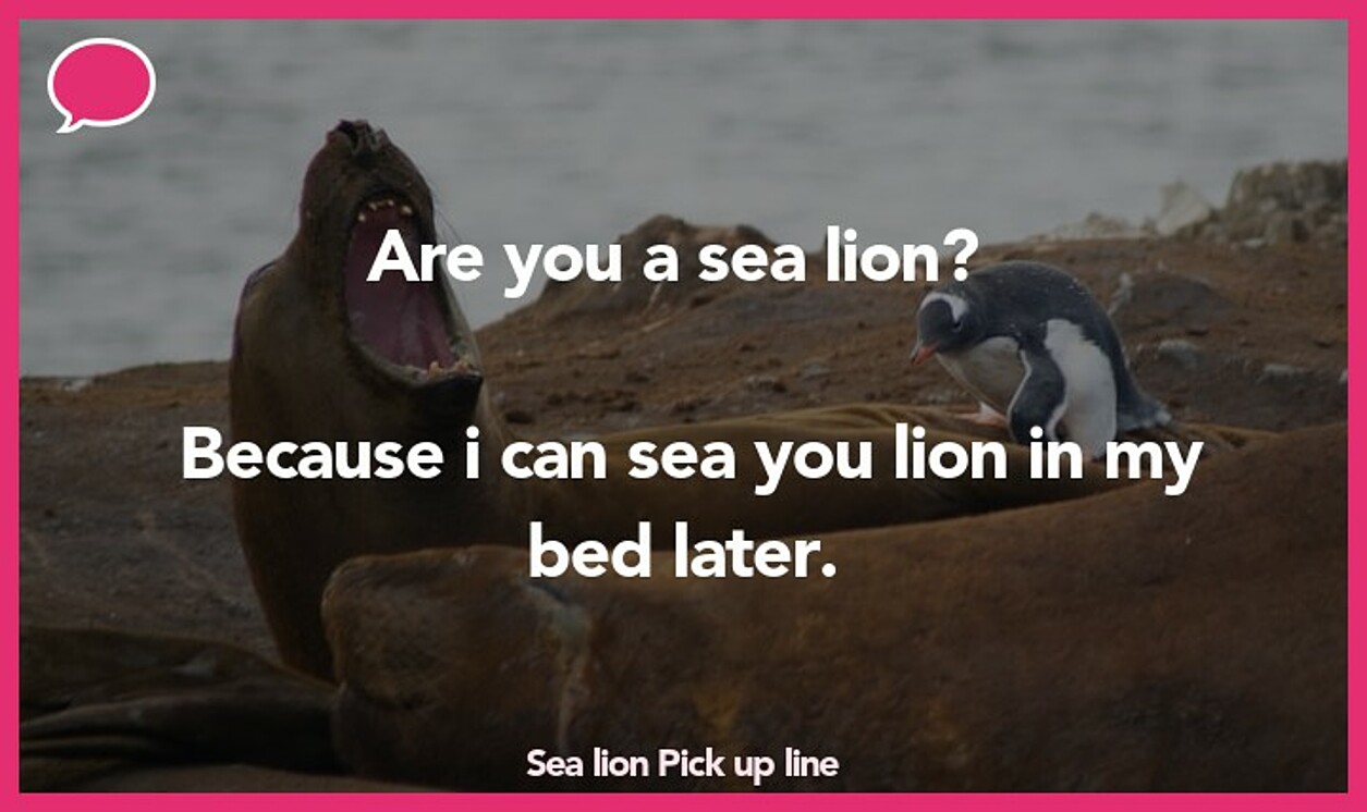 sea lion pickup line