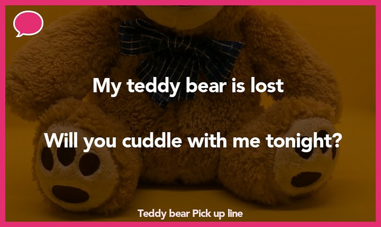 teddy bear pickup line