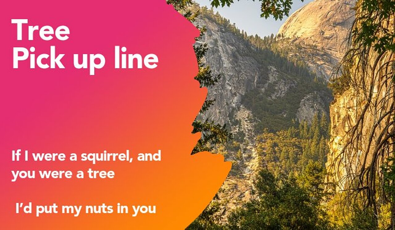tree pickup line