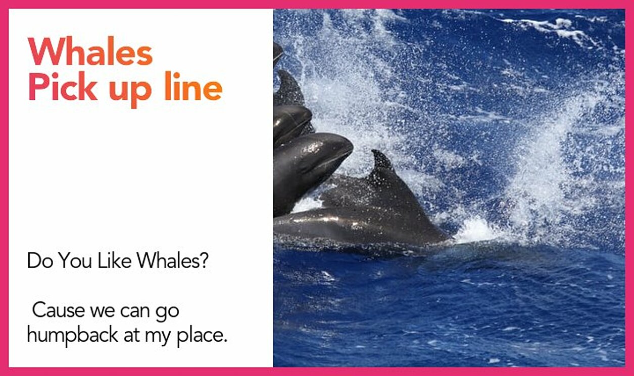 whales pickup line