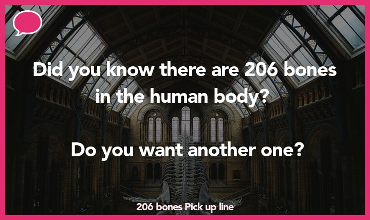 206 bones pickup line