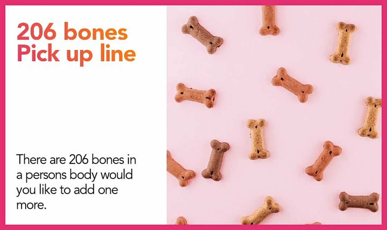 206 bones pickup line