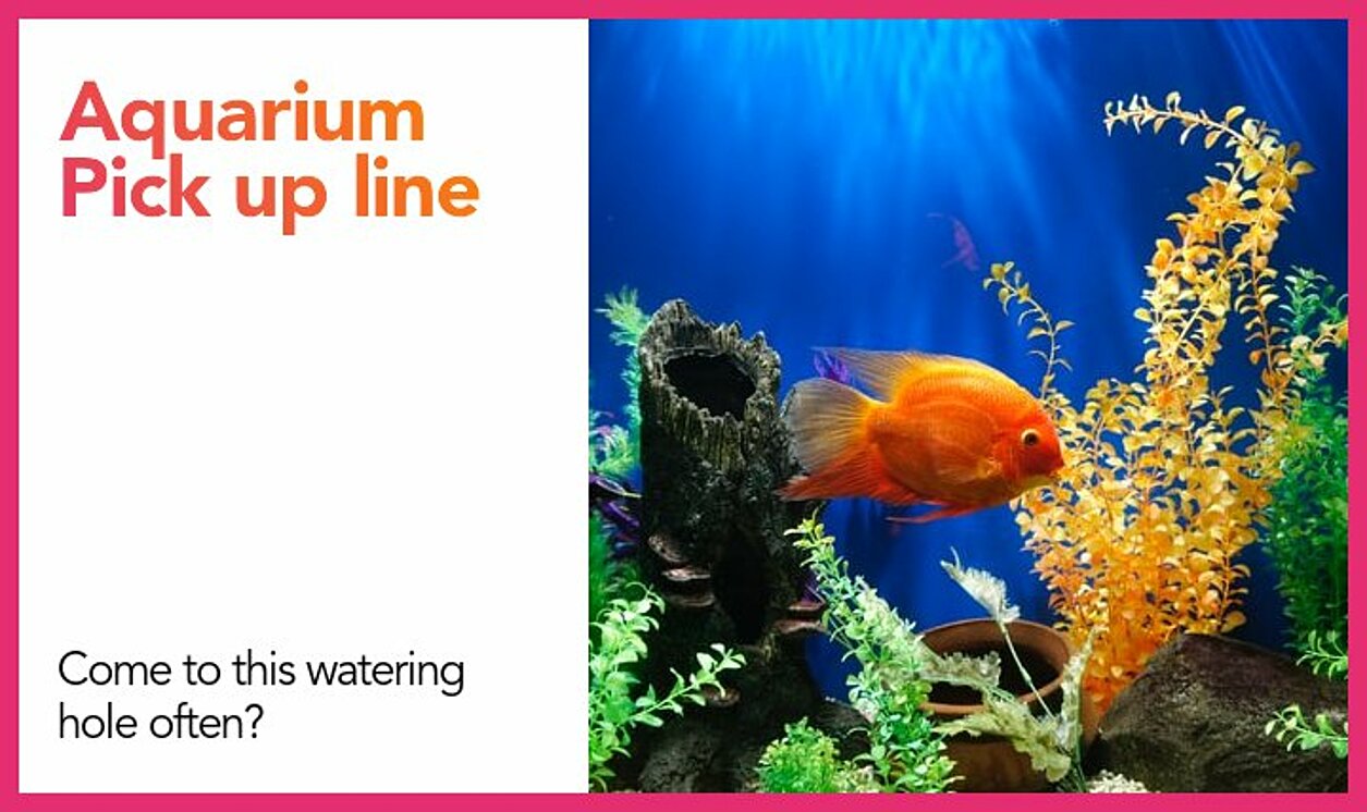 aquarium pickup line