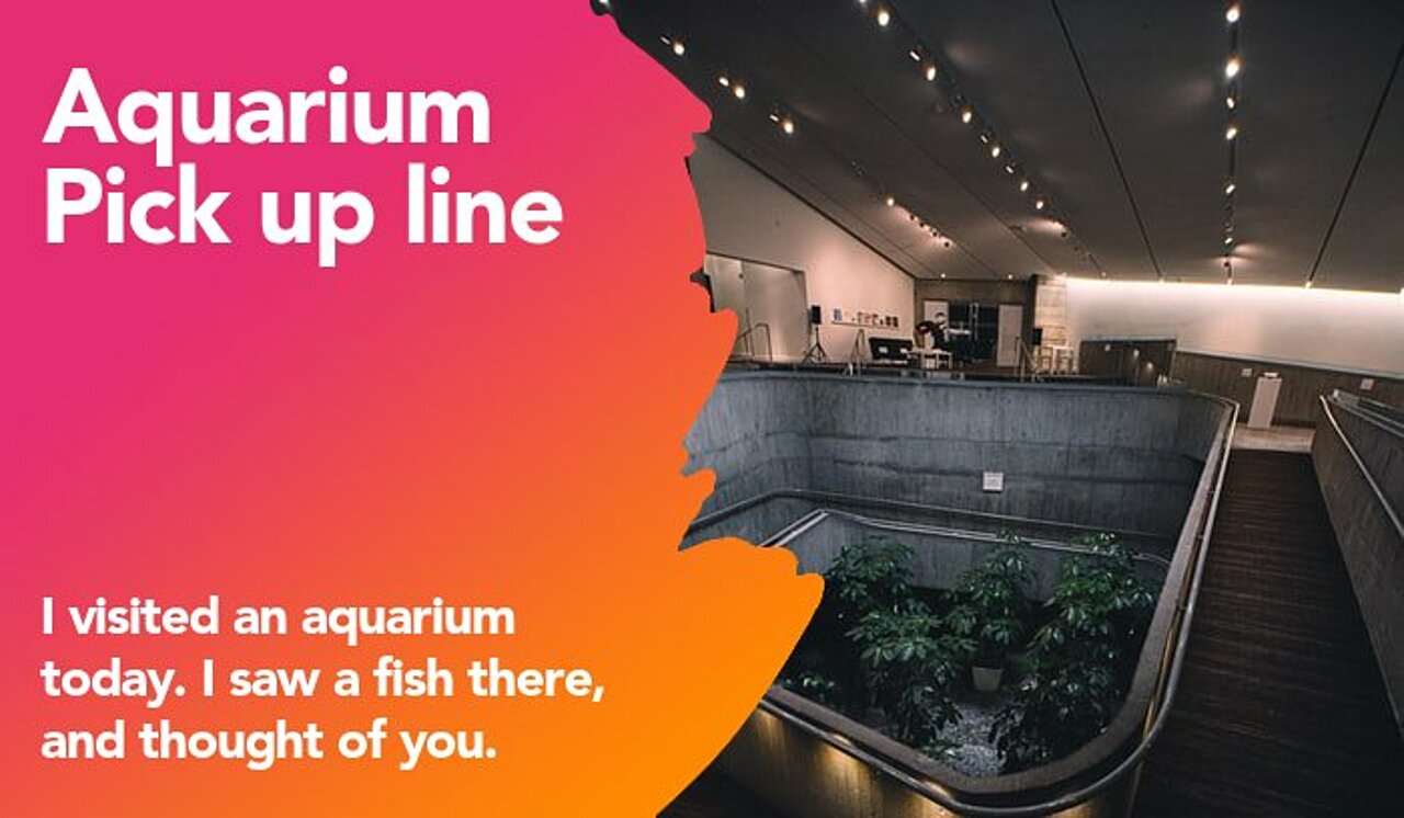 aquarium pickup line