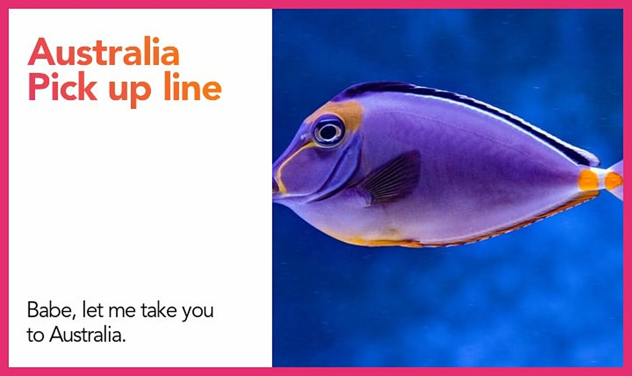 australia pickup line