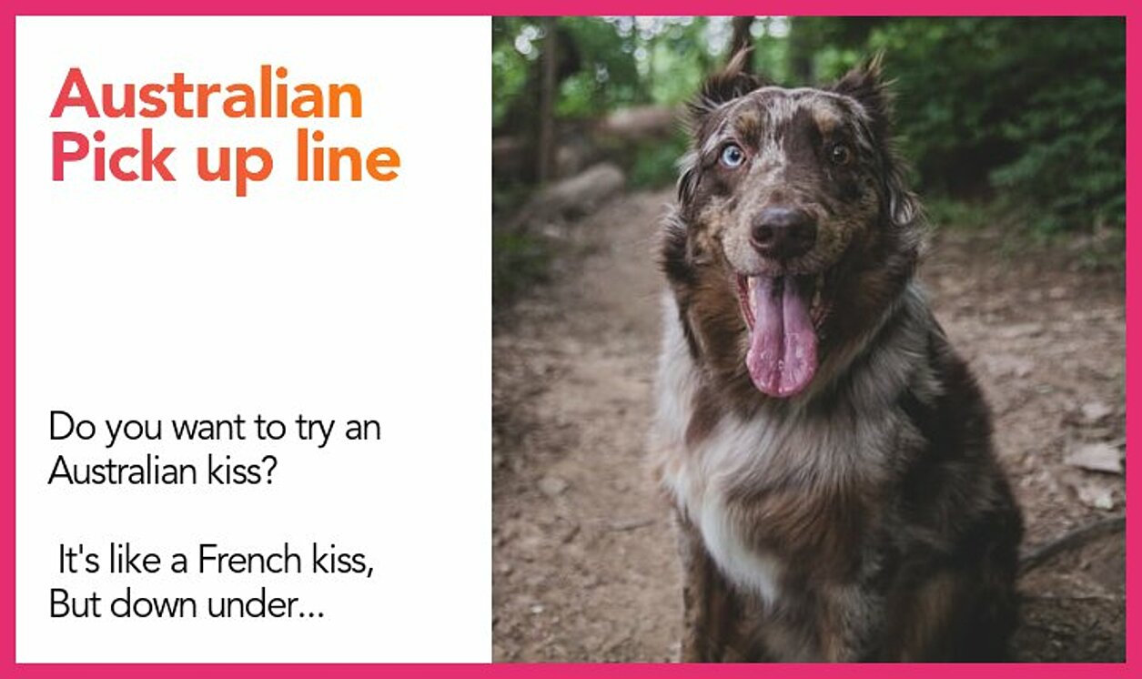 50+ Australian Pick Lines - The PickUp Lines