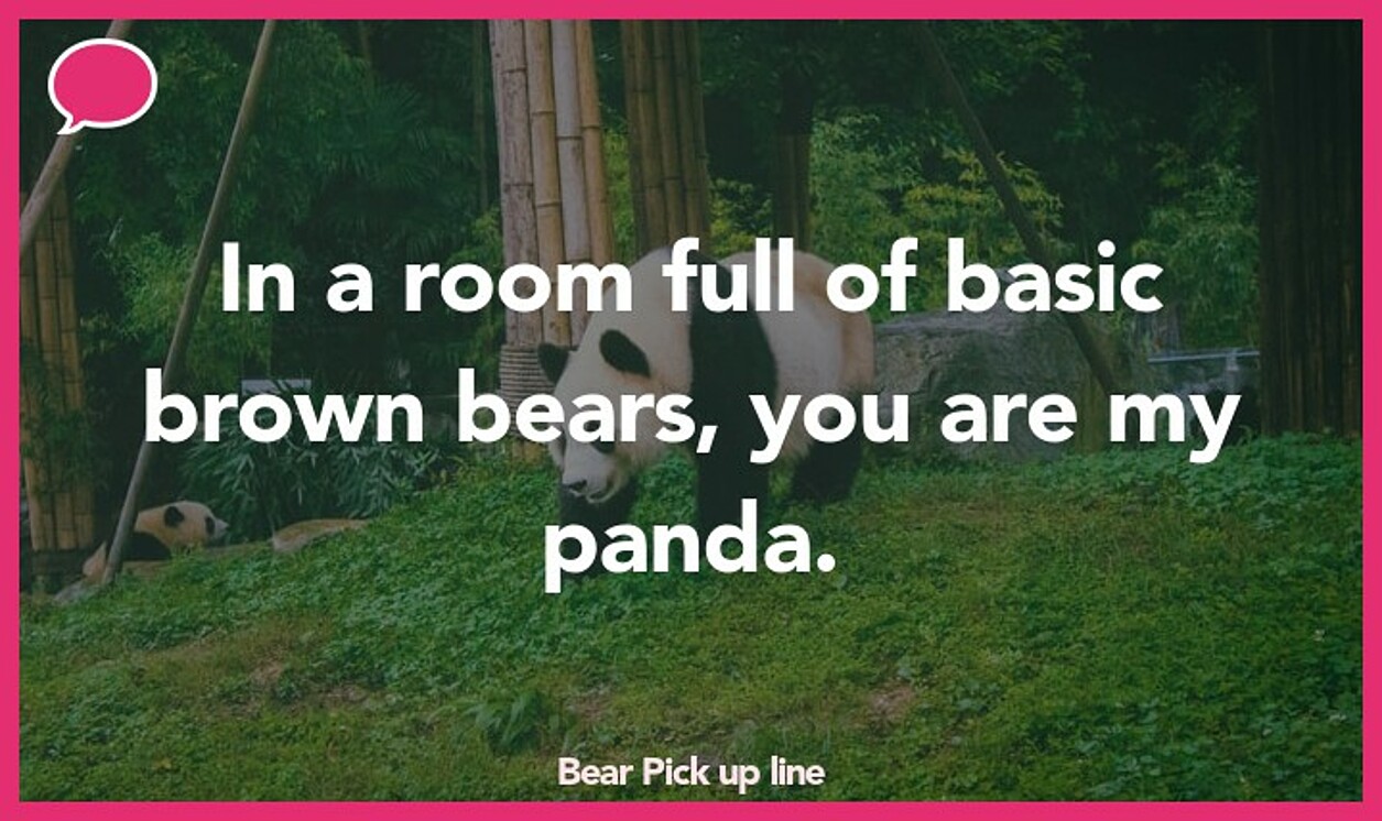 bear pickup line