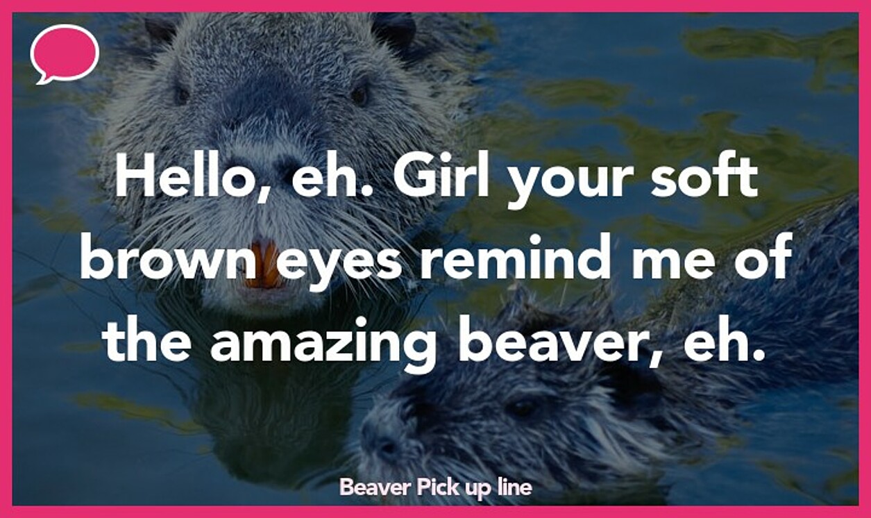 beaver pickup line