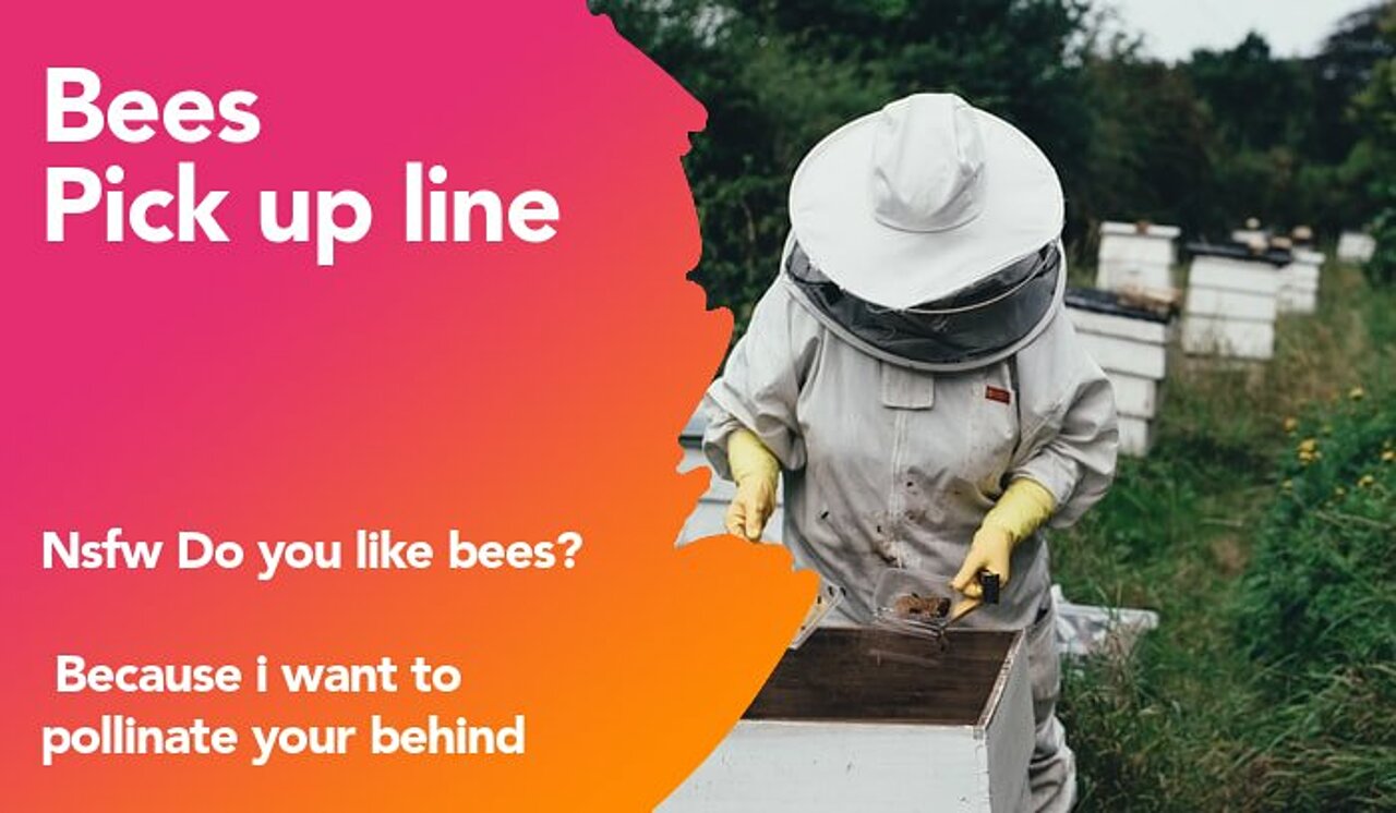 bees pickup line