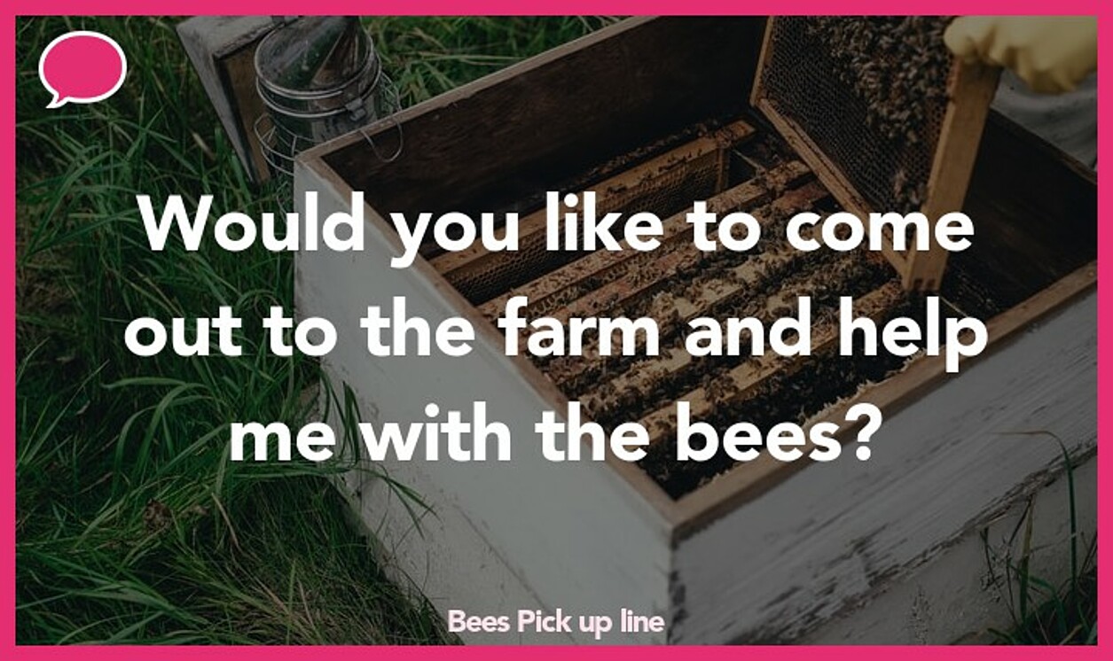 bees pickup line