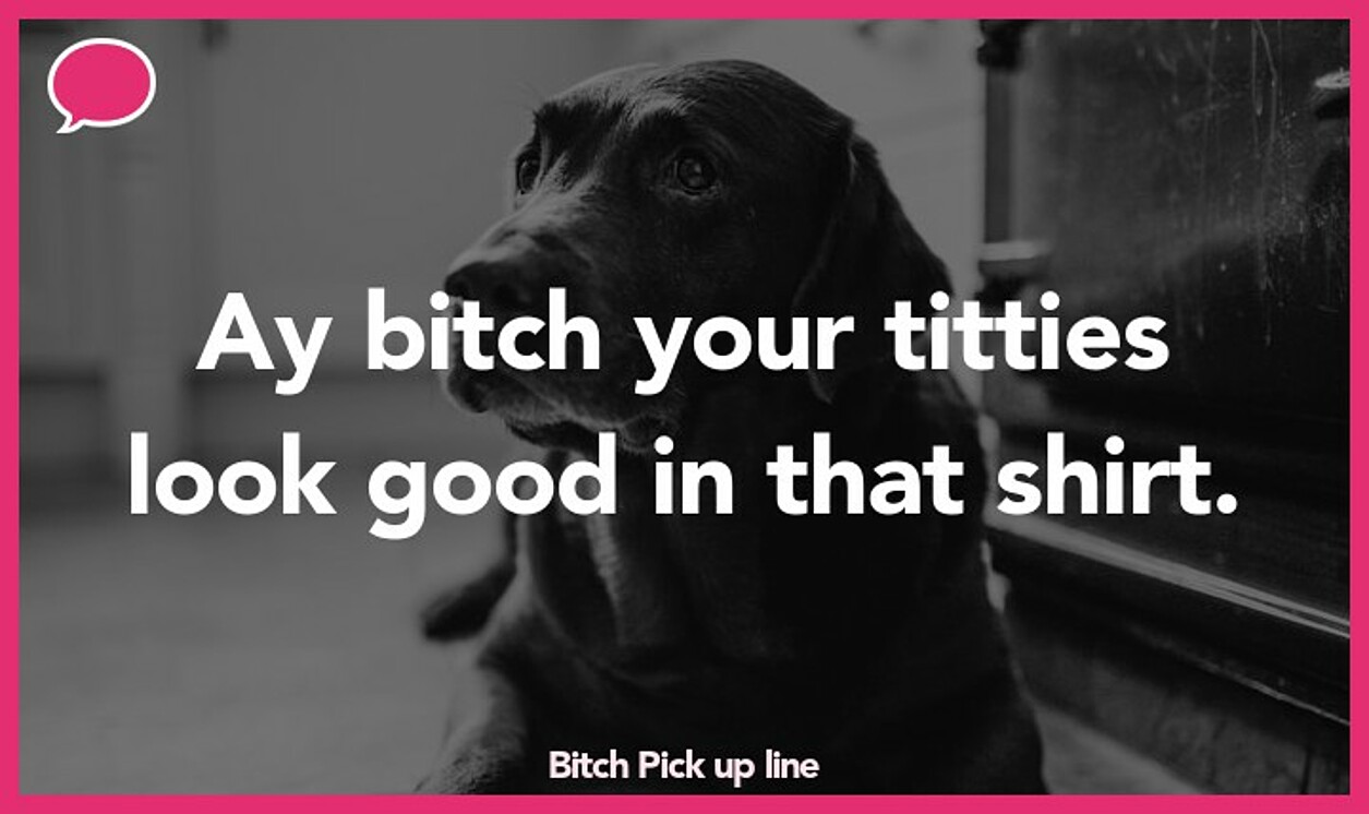 bitch pickup line
