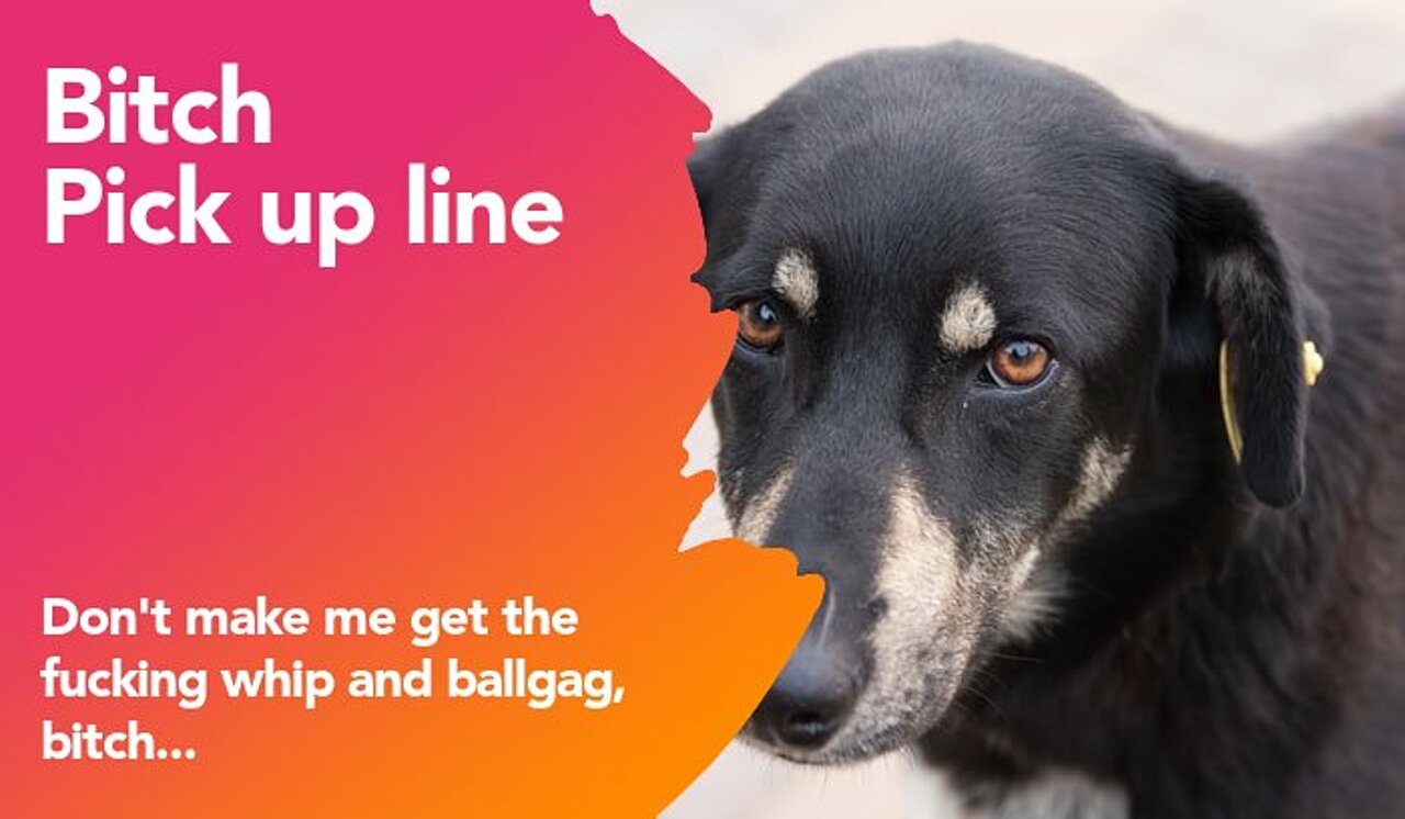 bitch pickup line