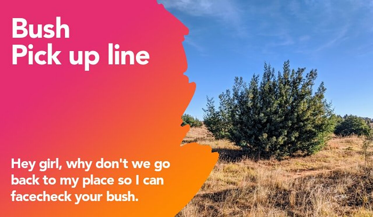 bush pickup line