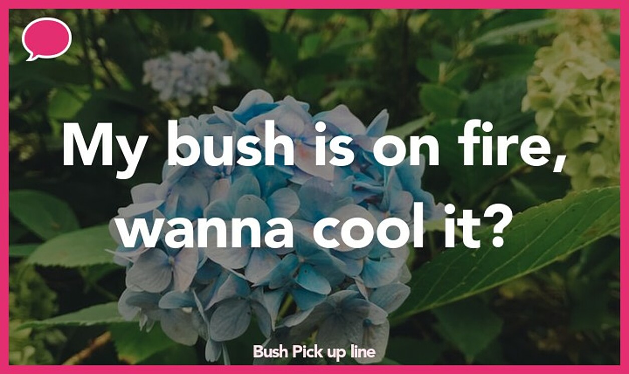 bush pickup line