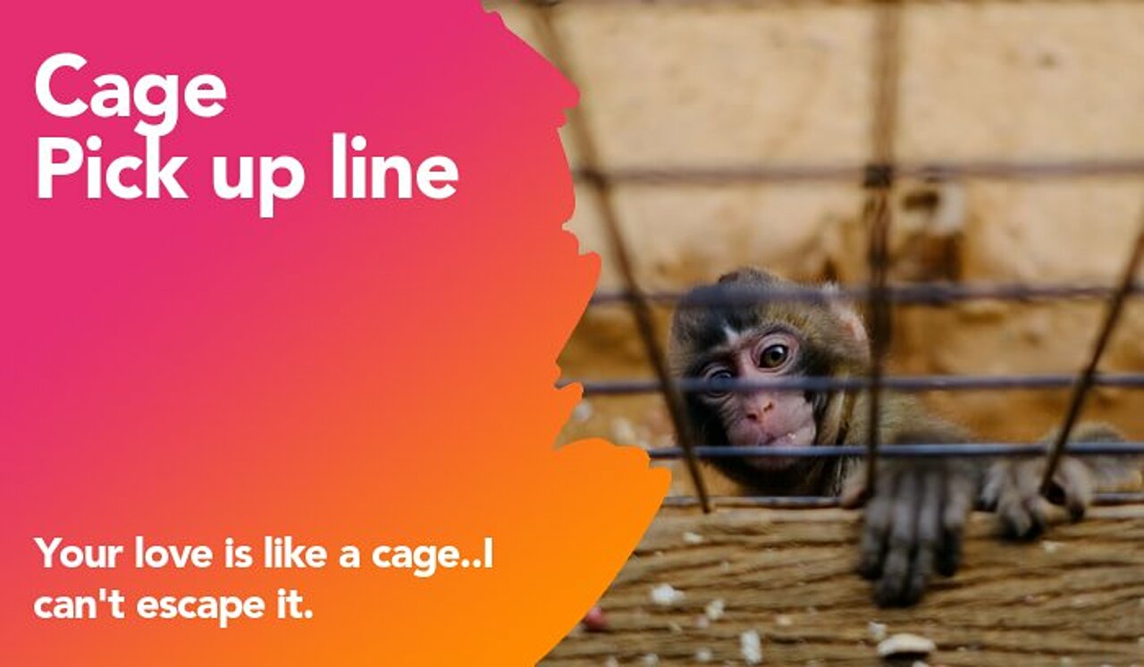 cage pickup line