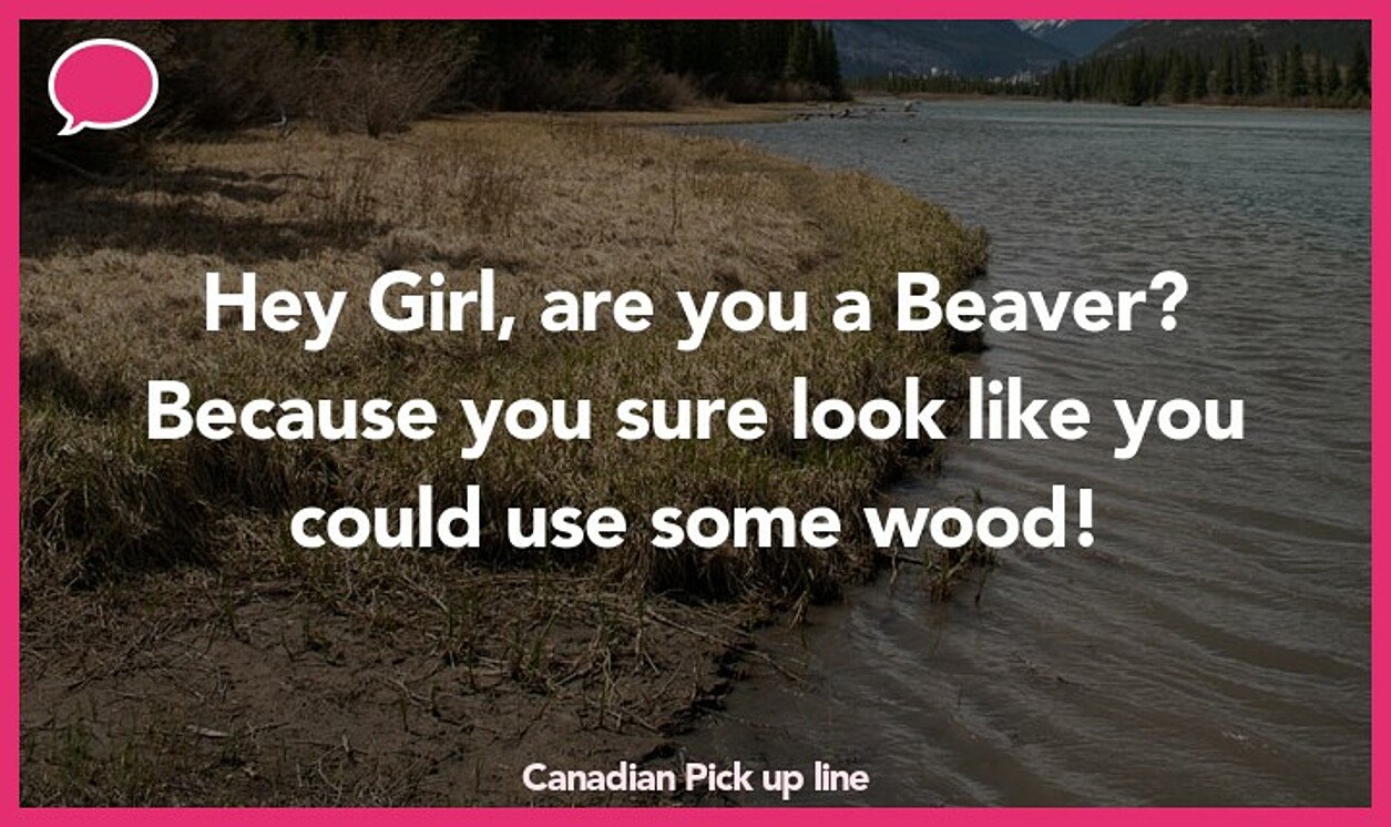 canadian pickup line