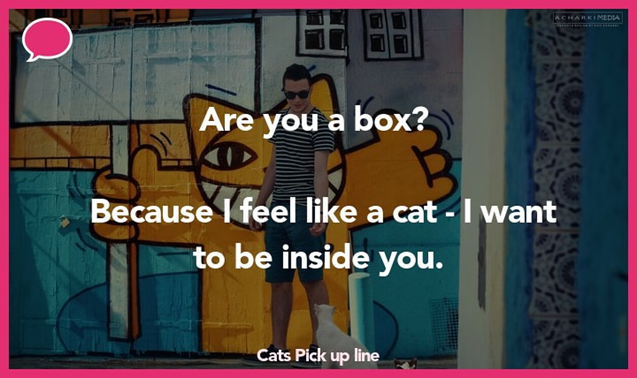 cats pickup line