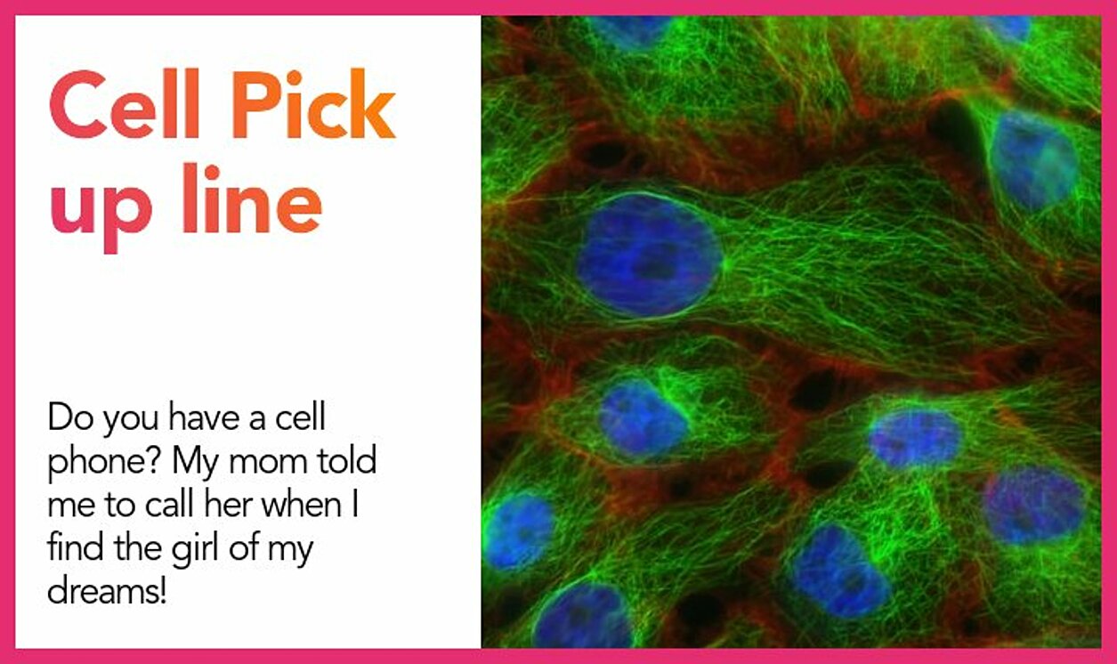 cell pickup line