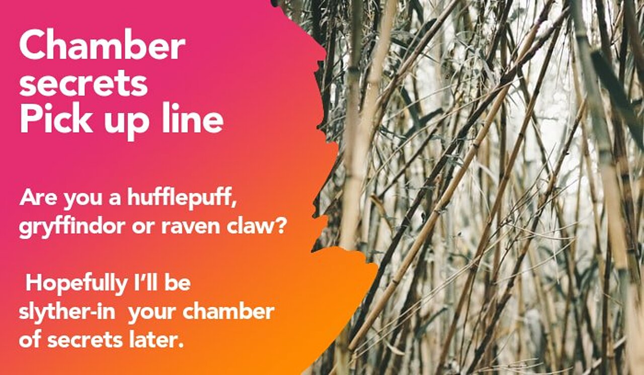 chamber secrets pickup line