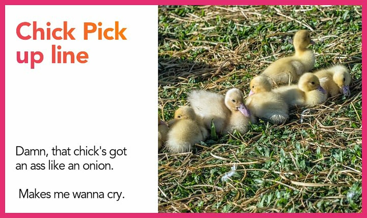 chick pickup line