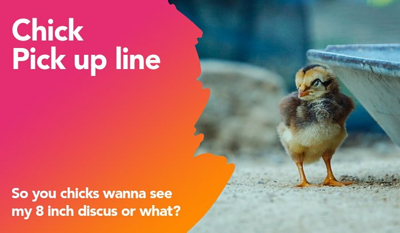 chick pickup line