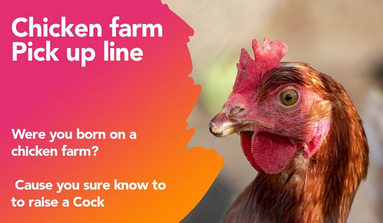chicken farm pickup line