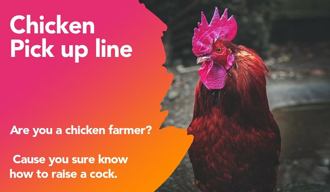 chicken pickup line