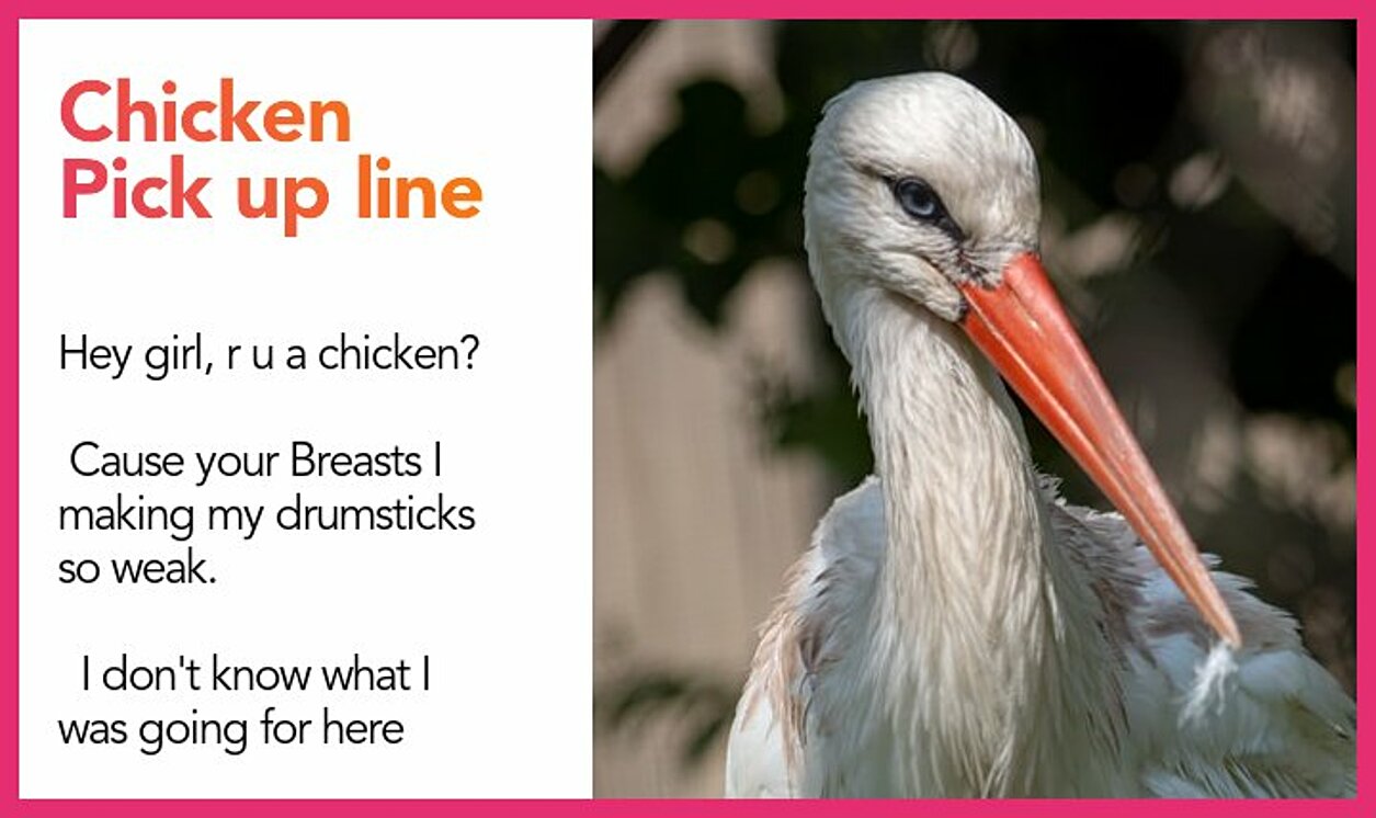 chicken pickup line