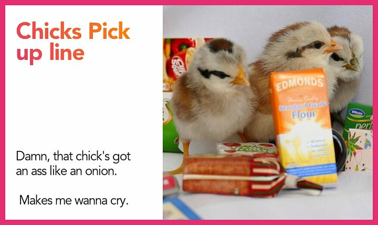 chicks pickup line