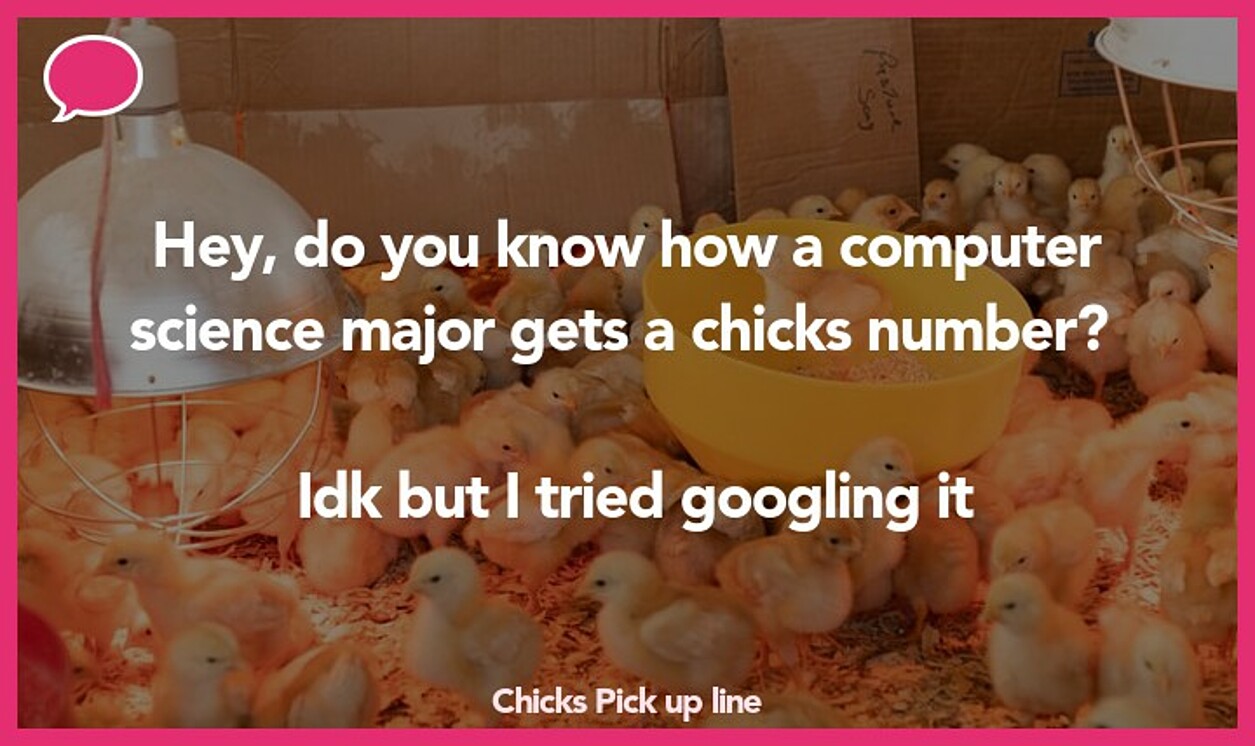 chicks pickup line