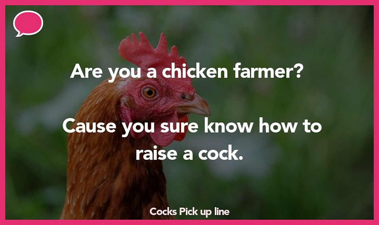 cocks pickup line