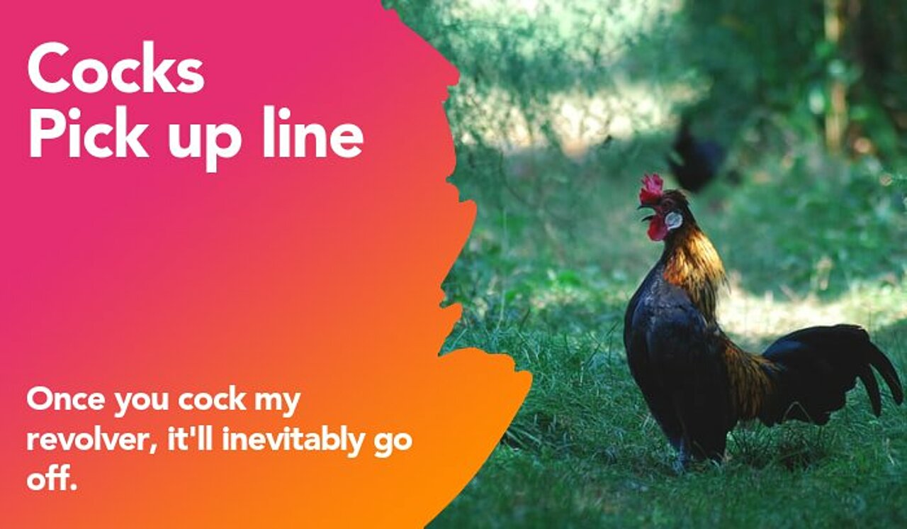 cocks pickup line