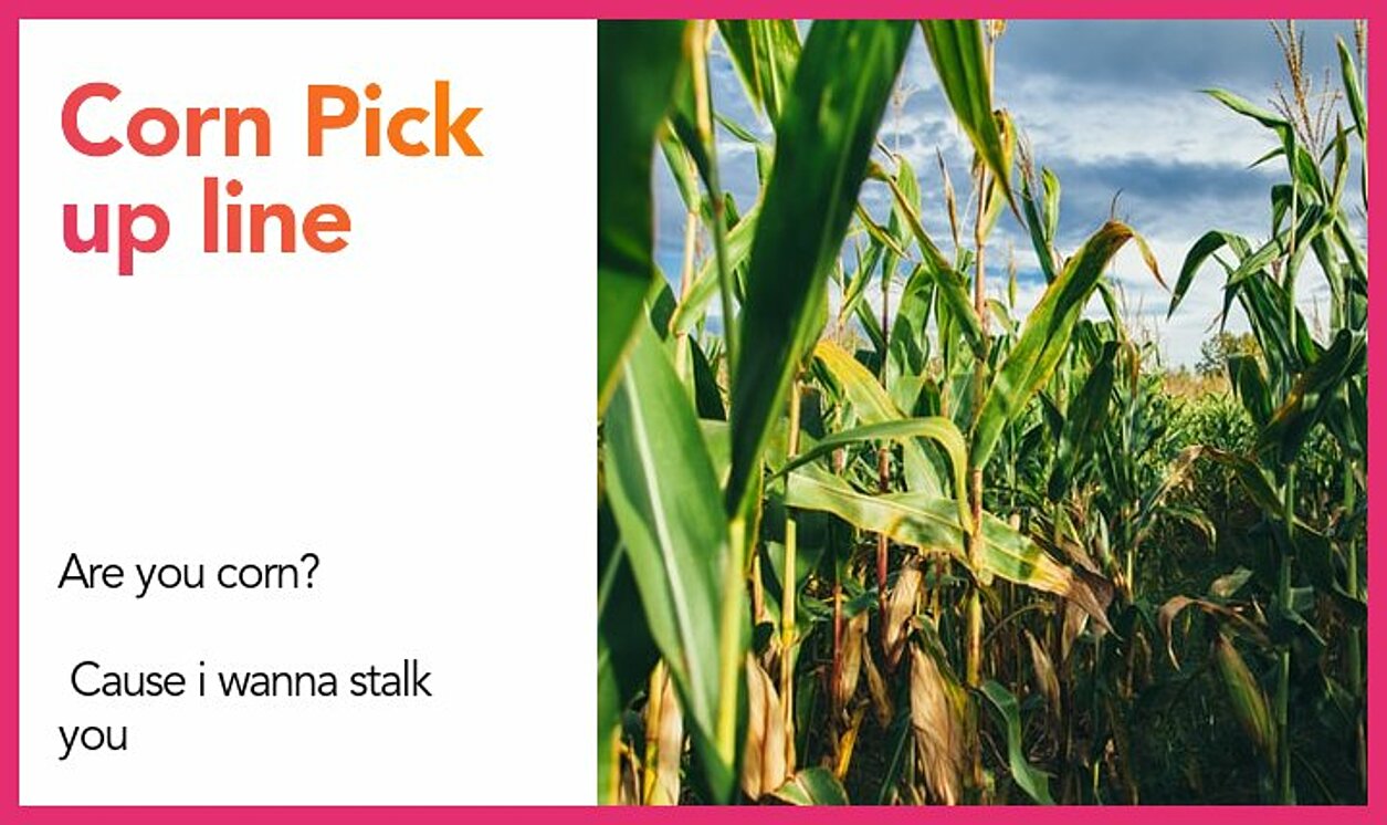 corn pickup line