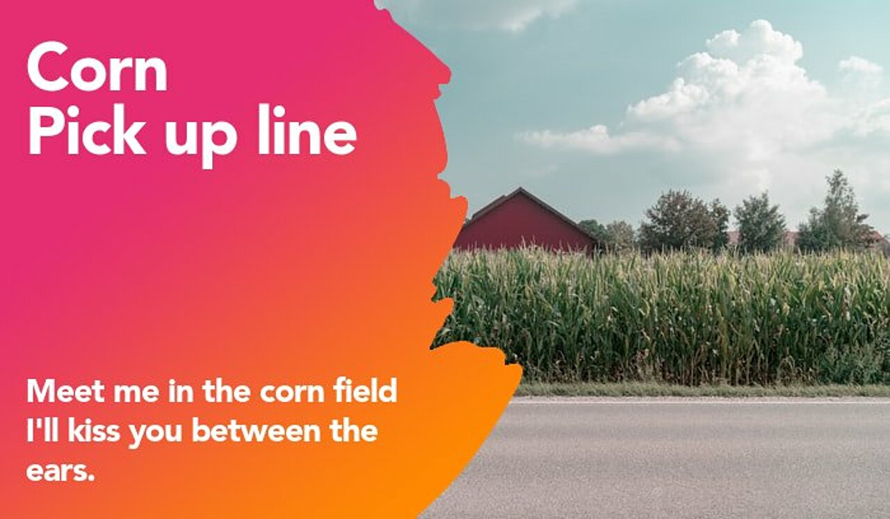 corn pickup line
