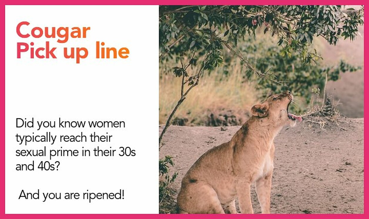 cougar pickup line