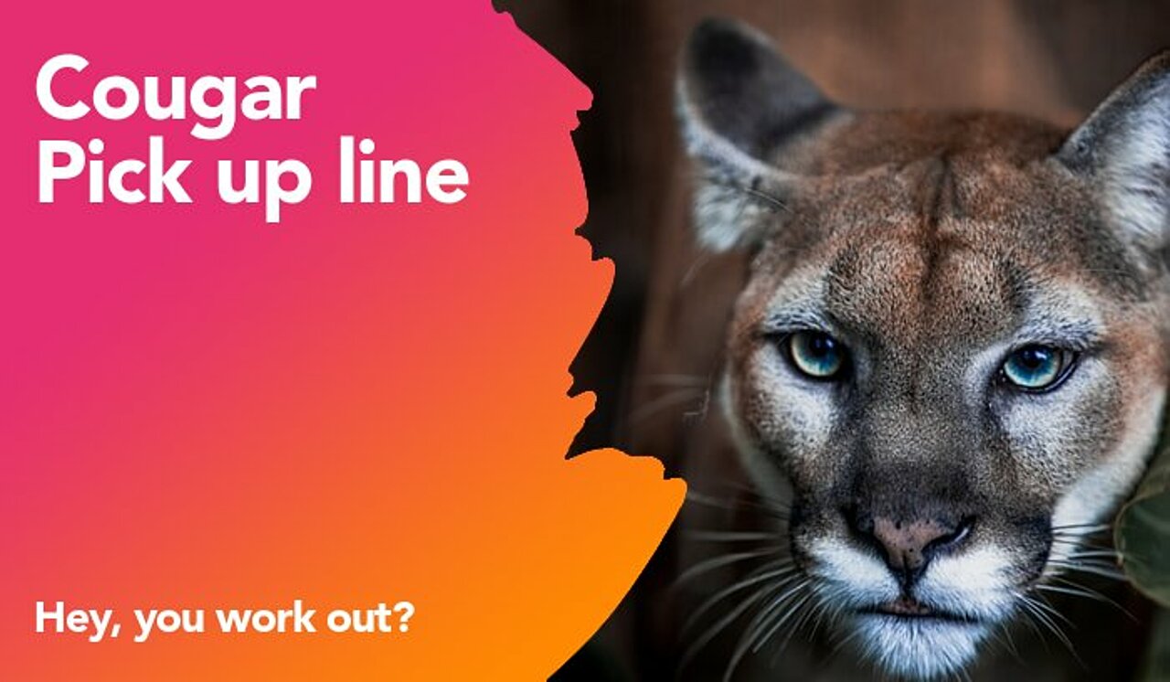 cougar pickup line