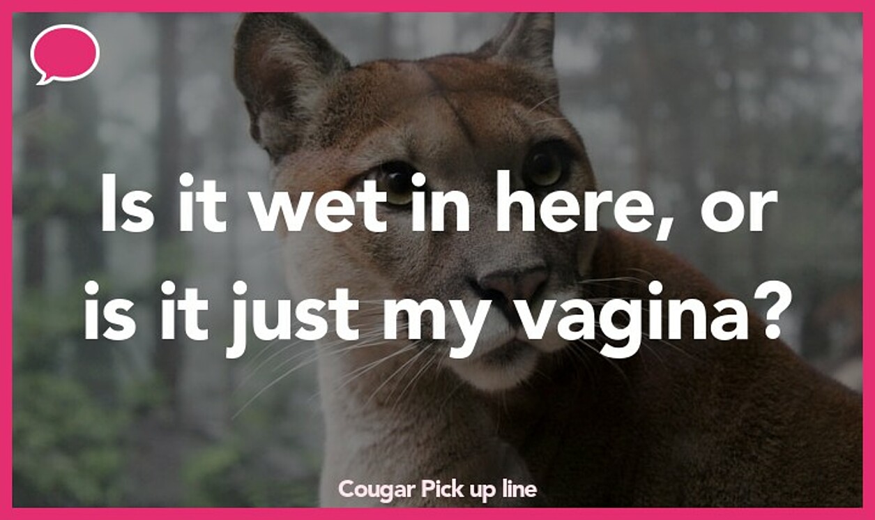 cougar pickup line