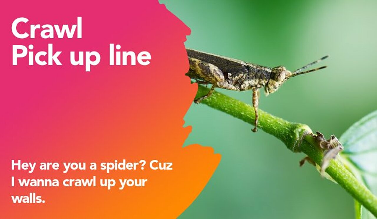 crawl pickup line