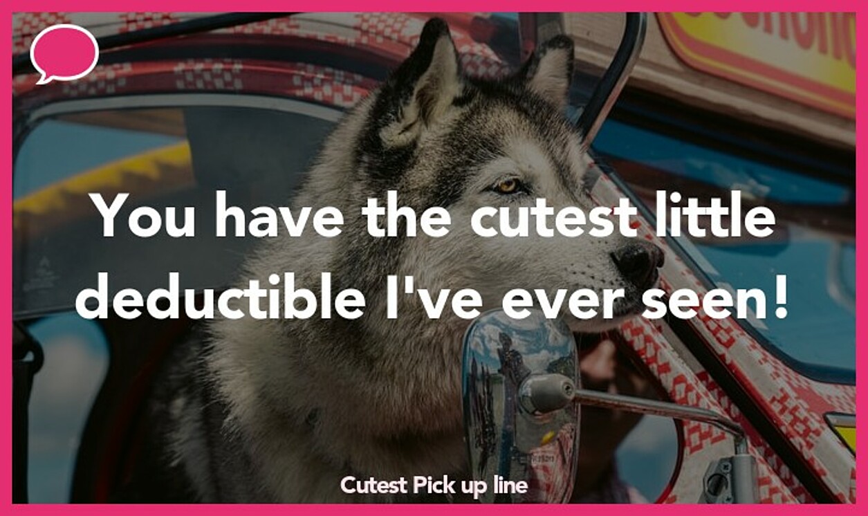 cutest pickup line