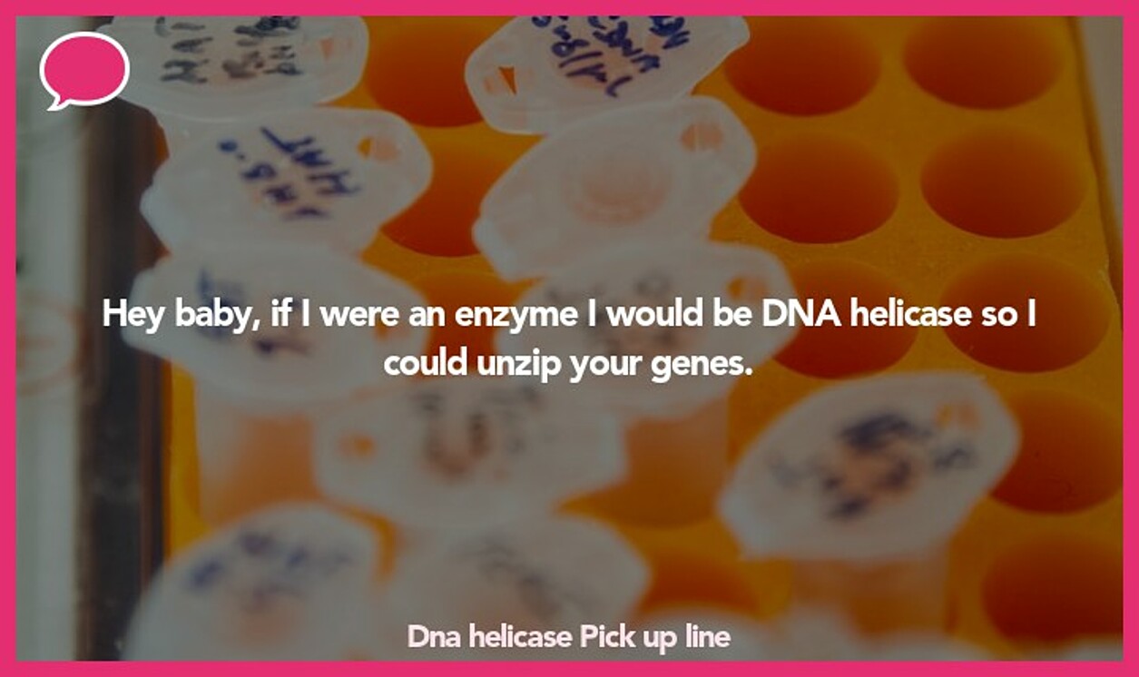 dna helicase pickup line