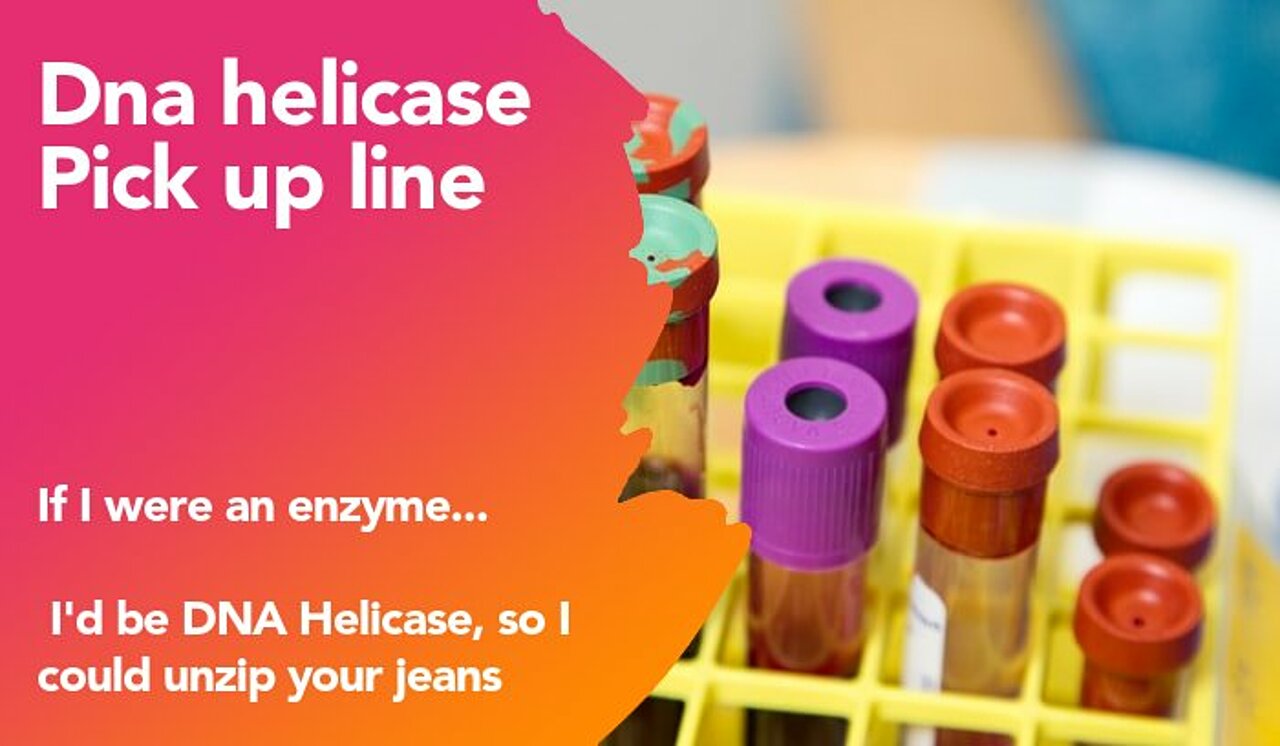 dna helicase pickup line