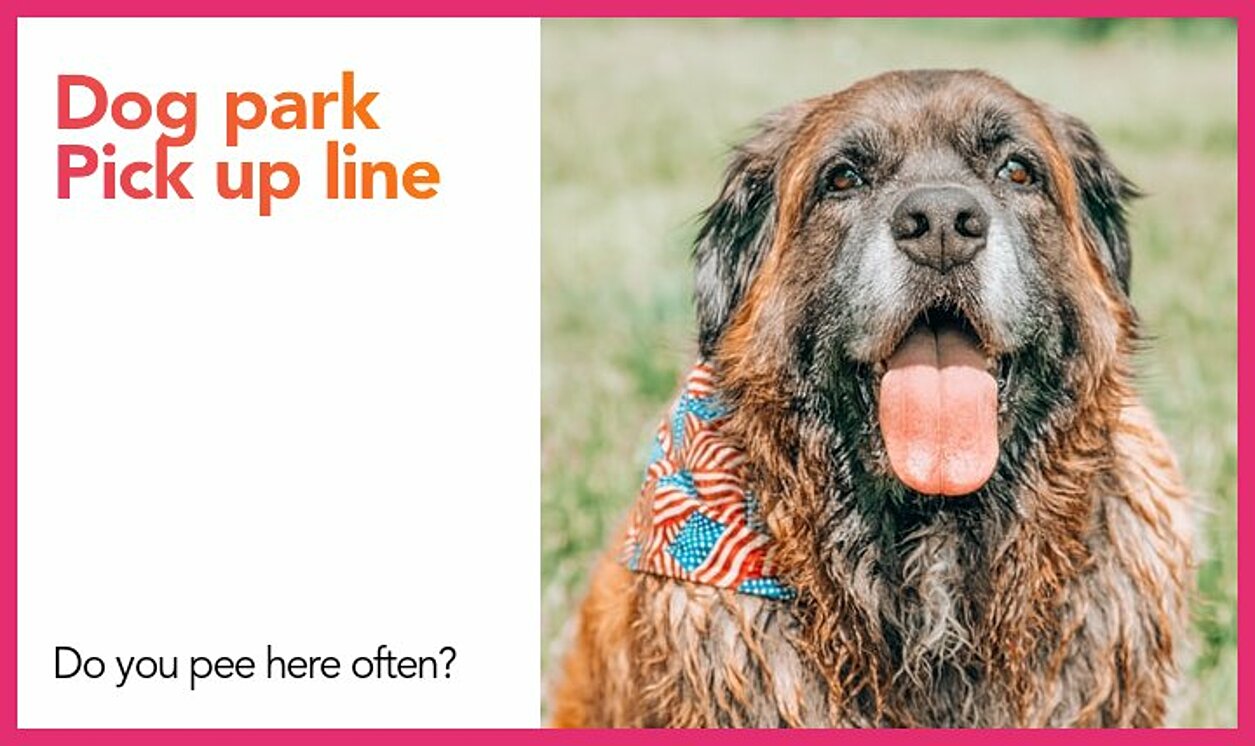 dog park pickup line