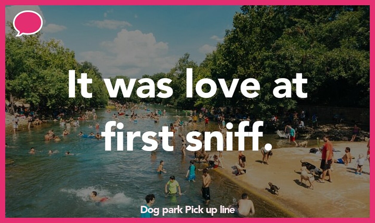 dog park pickup line