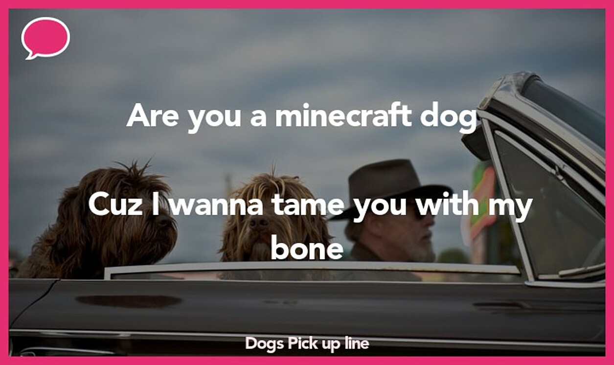 dogs pickup line