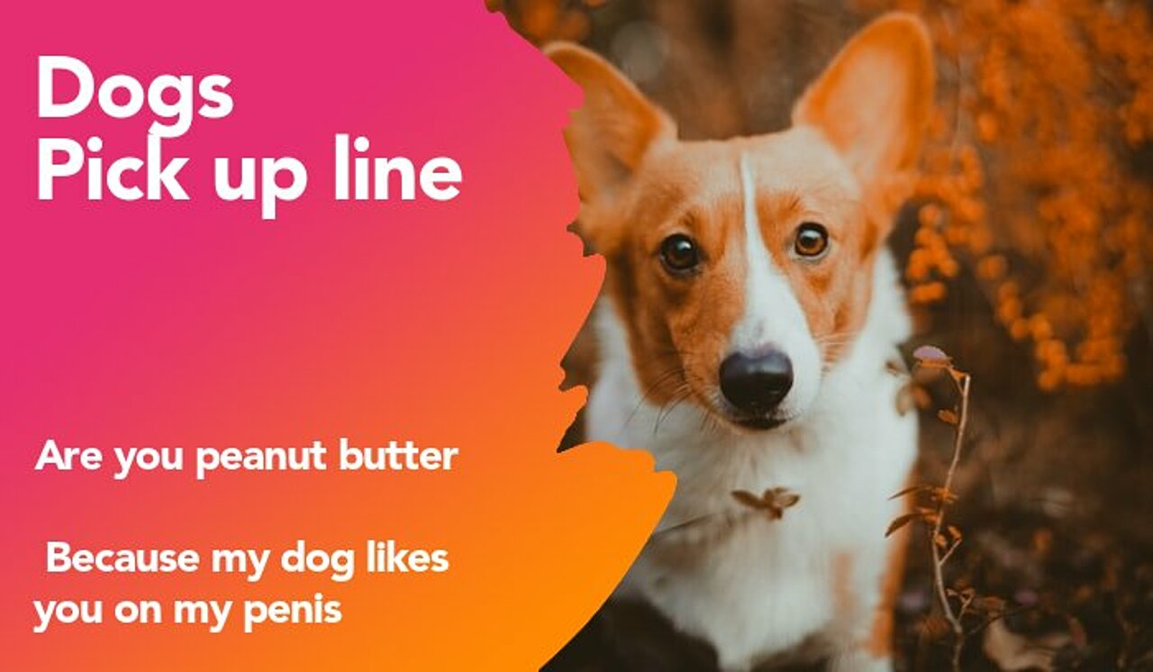 dogs pickup line