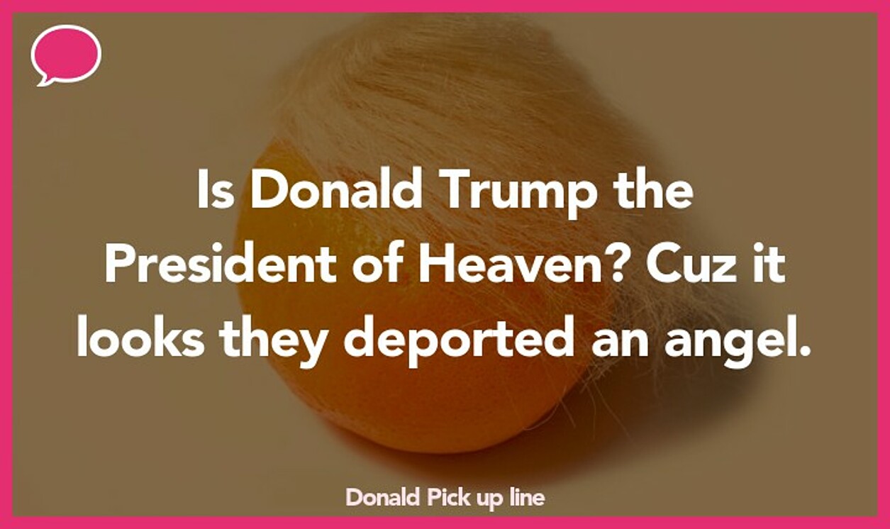 donald pickup line