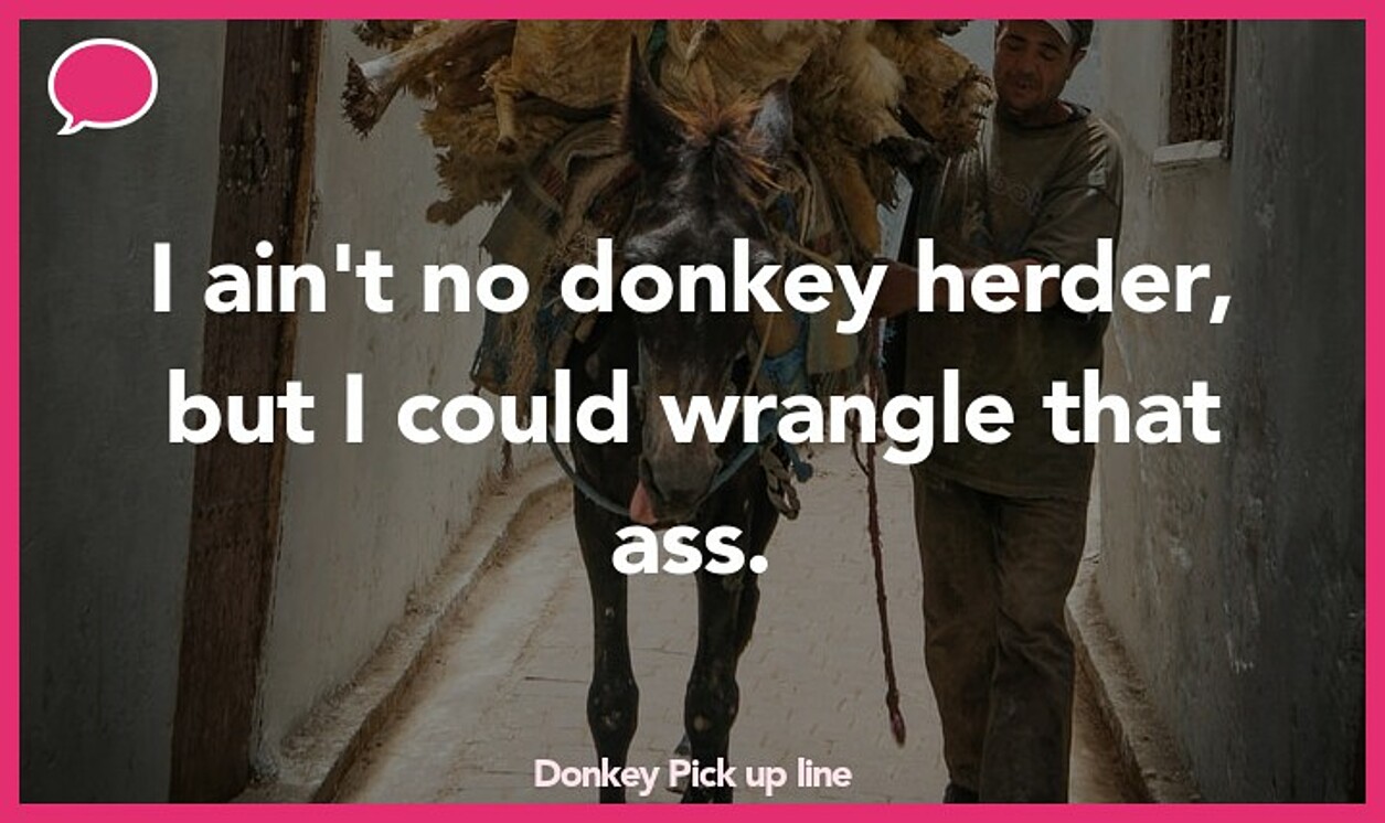 donkey pickup line