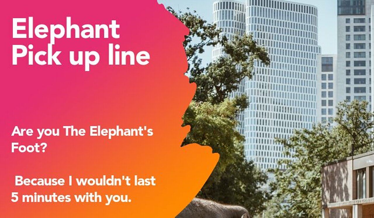 elephant pickup line